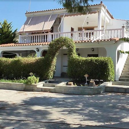 Το Κτήμα Της Ελιάς Του Τάκη Guest House Paralia Demonias Ngoại thất bức ảnh