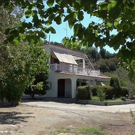 Το Κτήμα Της Ελιάς Του Τάκη Guest House Paralia Demonias Ngoại thất bức ảnh