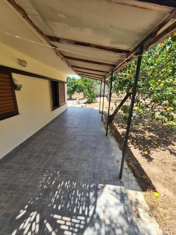 Το Κτήμα Της Ελιάς Του Τάκη Guest House Paralia Demonias Ngoại thất bức ảnh