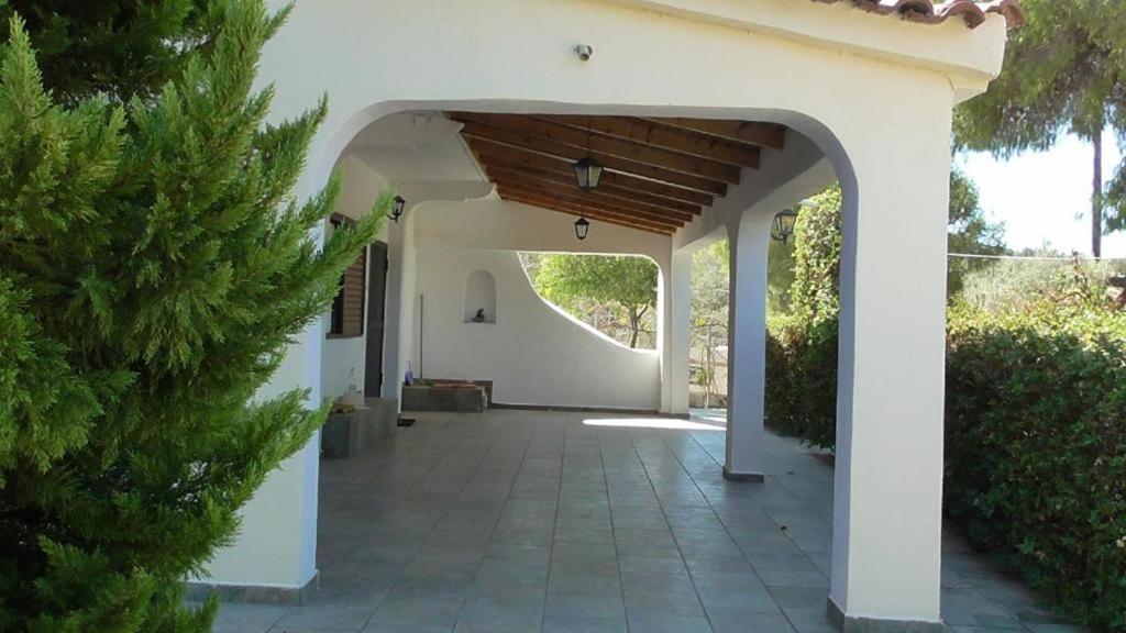 Το Κτήμα Της Ελιάς Του Τάκη Guest House Paralia Demonias Ngoại thất bức ảnh