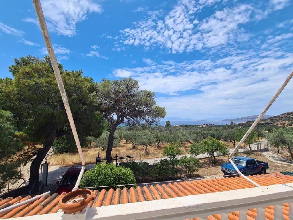 Το Κτήμα Της Ελιάς Του Τάκη Guest House Paralia Demonias Ngoại thất bức ảnh