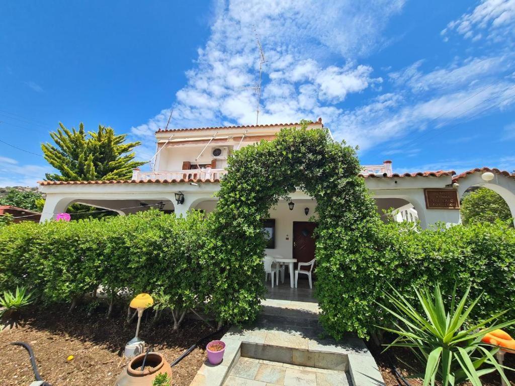 Το Κτήμα Της Ελιάς Του Τάκη Guest House Paralia Demonias Ngoại thất bức ảnh