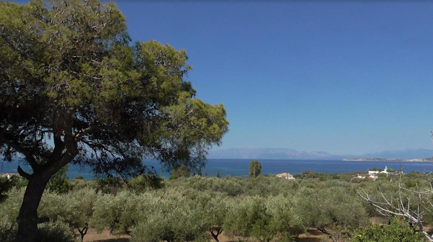 Το Κτήμα Της Ελιάς Του Τάκη Guest House Paralia Demonias Ngoại thất bức ảnh