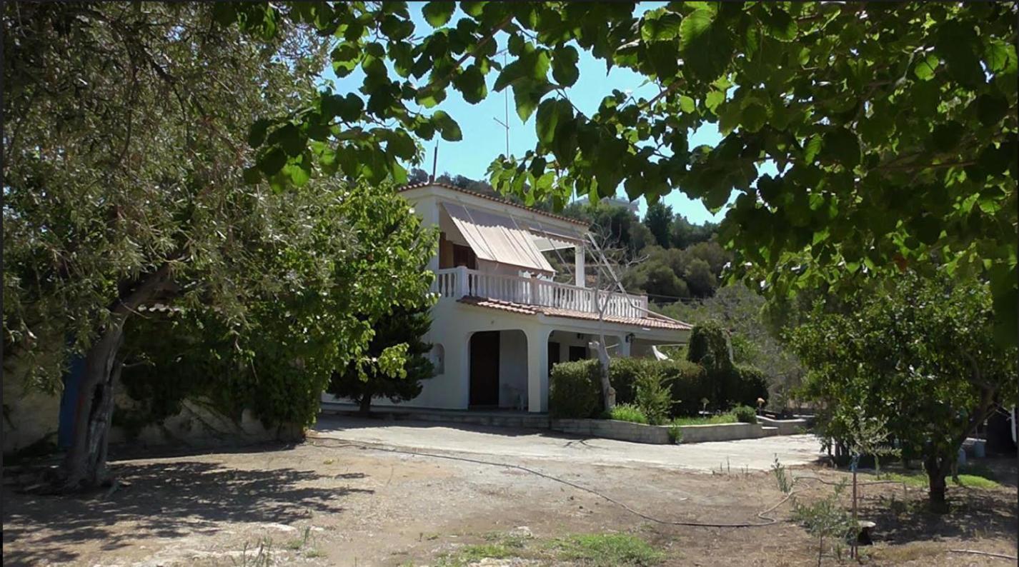 Το Κτήμα Της Ελιάς Του Τάκη Guest House Paralia Demonias Ngoại thất bức ảnh